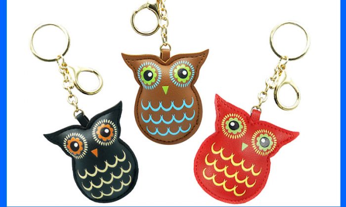keychain gps tracker