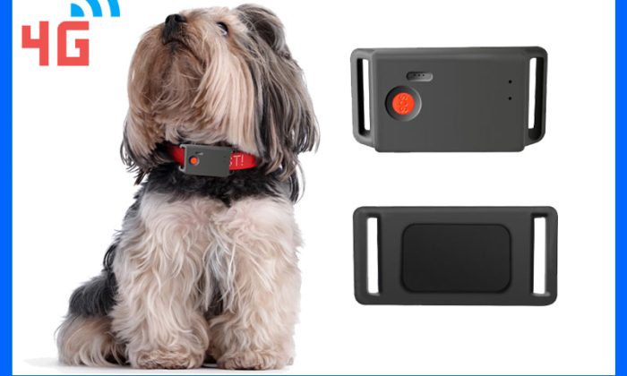 4g pet collar