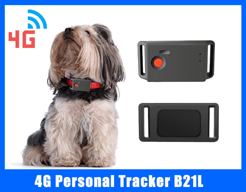 4g pet collar