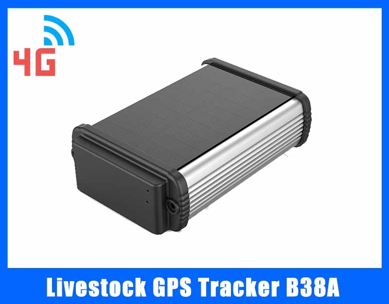 livestock gps tracker