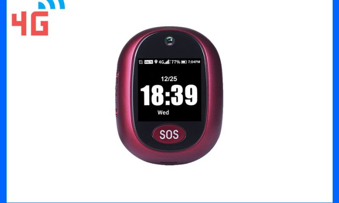 gps pendant